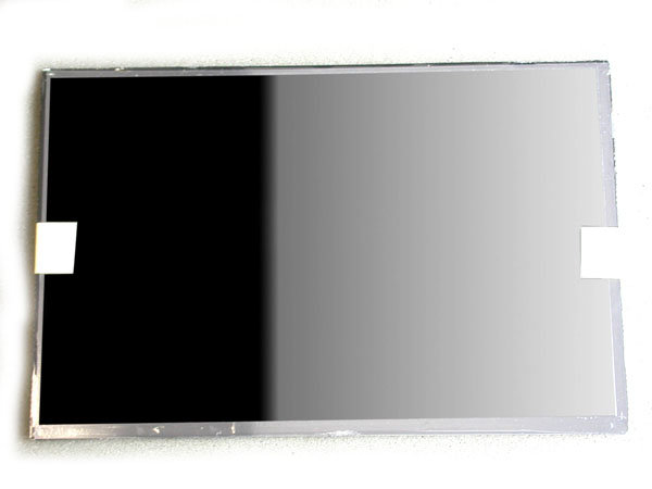 Экран матрица B101EVT04 для планшета ACER ICONIA A510 купить 